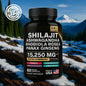 SHILAGIT